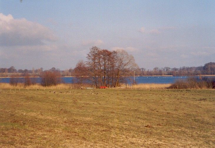 Blick über das südliche Seeende