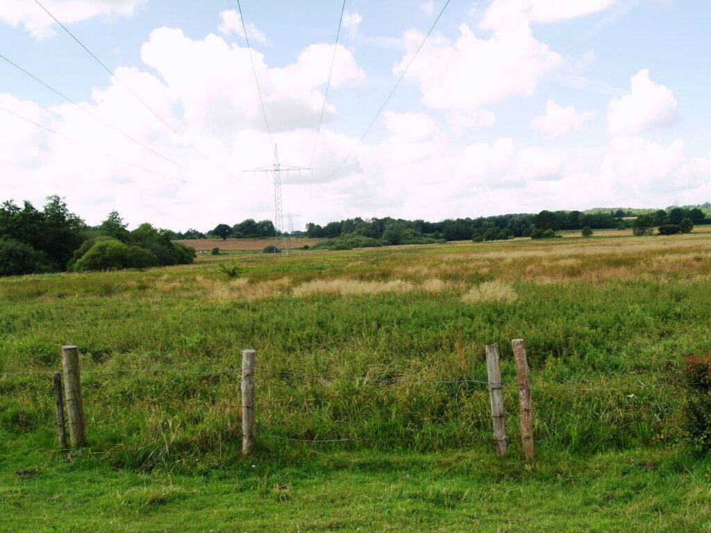 Blick übers Moor