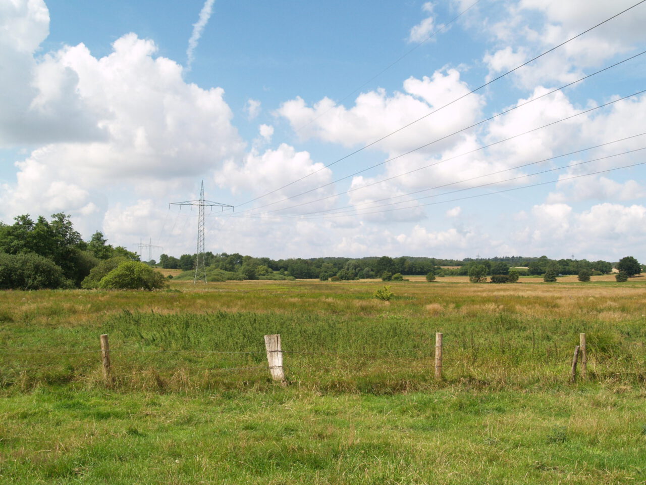 Blick aufs Depenauer Hochmoor