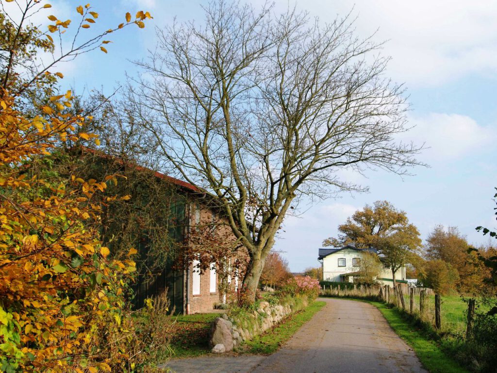 Hof Mißmaaßen - heute ein Resthof