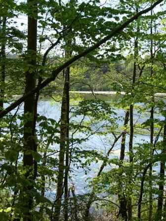 Blick zum Drömlingsee