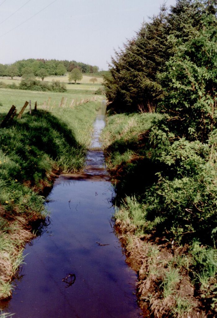 Entwässerungsgraben im Moor