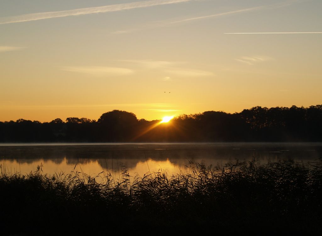 Sonnenaufgang am See