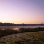 Nebel über dem See und Raureif auf dem Gras