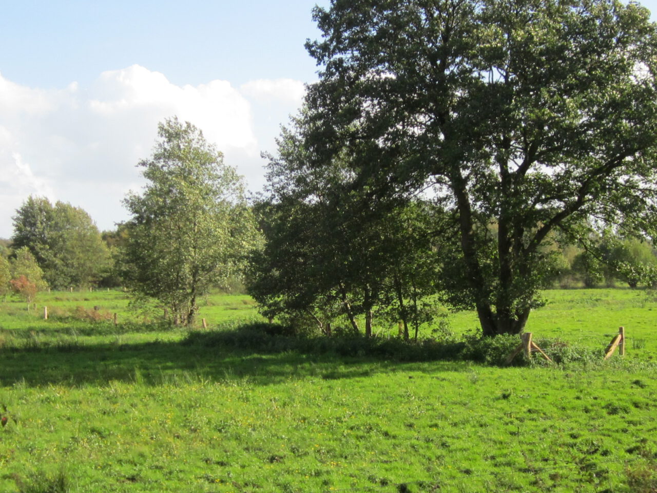 Stolper Moor September 2011