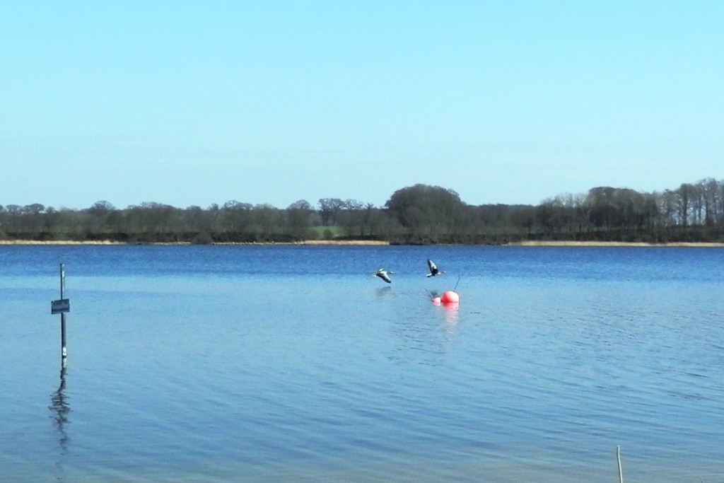 Badestelle Stolper See im Frühjahr