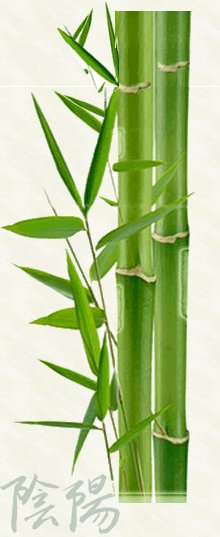 bambus_links1