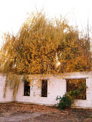 Bundhorst - Idyllische Ruine des ehemaligen Pferdestalls