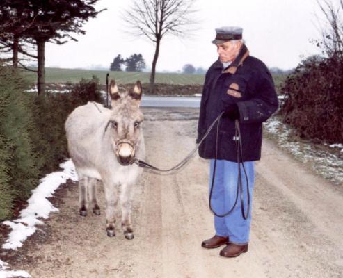 Herr Kasch führt seine Eselstute Laura am Seil spazieren.
