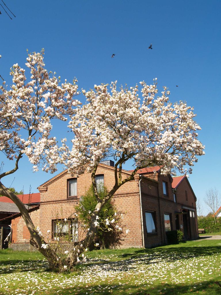 Böttiger Hof im Frühling