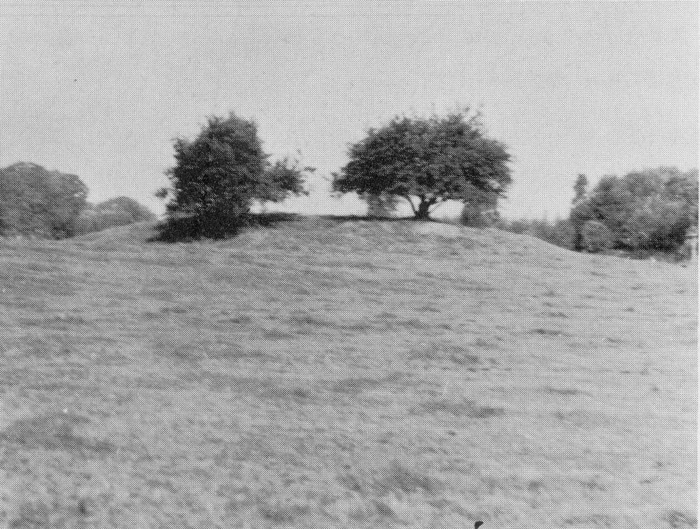 Turmhügel im Hochmoor bei Depenau