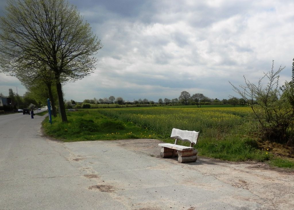 Bank vor blühendem Rapsfeld