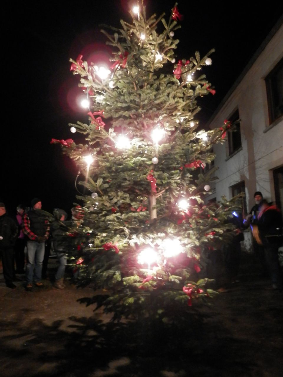 Stolper Weihnachtsbaum