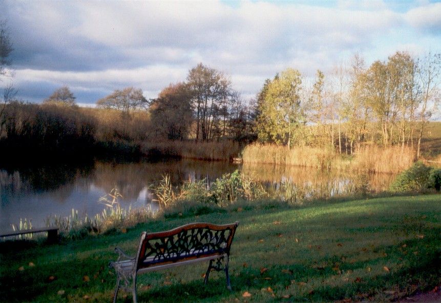 Blick auf den Löschteich in Nettelau