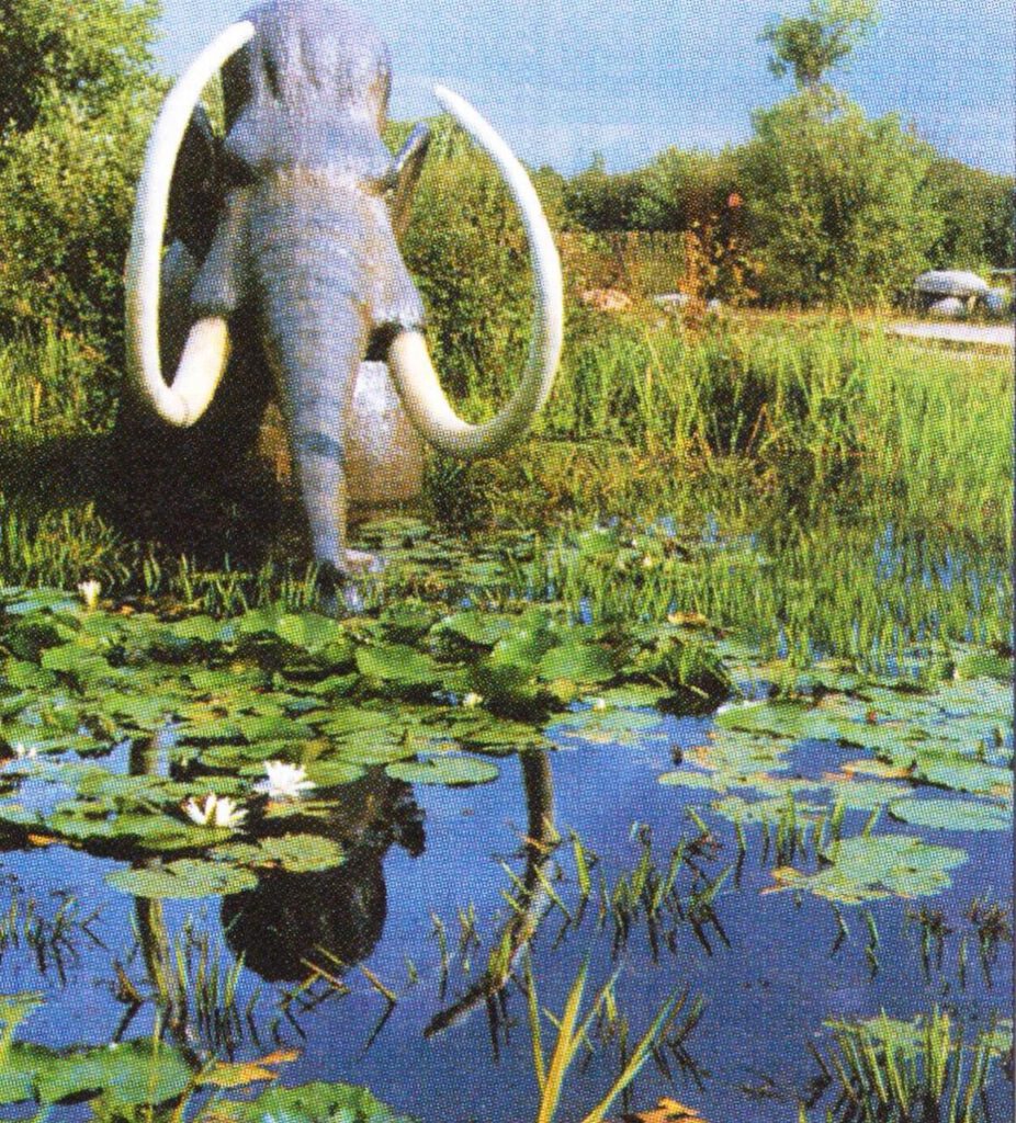 Eiszeitmammut
